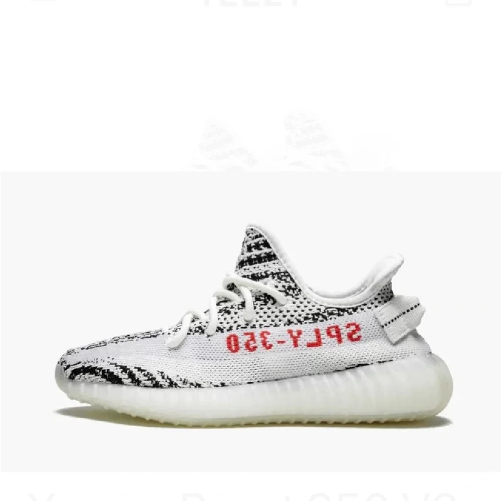 Yeezy - Picture 5 of 5